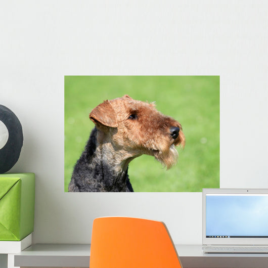 Airedale Terrier Spring Garden Wall Decal