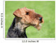 Airedale Terrier Spring Garden Wall Decal