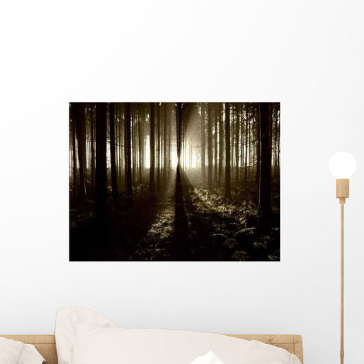 Lights and Forests Wall Decal
