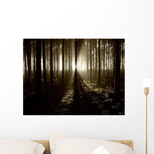 Lights and Forests Wall Decal