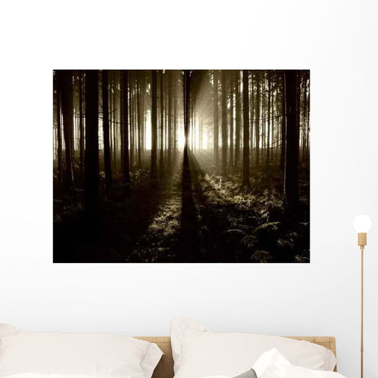 Lights and Forests Wall Decal