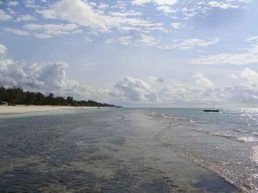 Diani Beach Diani Beach Wall Decal