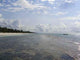 Diani Beach Diani Beach Wall Decal