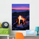 Campfire on the Lake Wall Mural