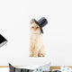 White Cat Black Hat Wall Decal
