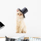 White Cat Black Hat Wall Decal