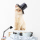 White Cat Black Hat Wall Decal