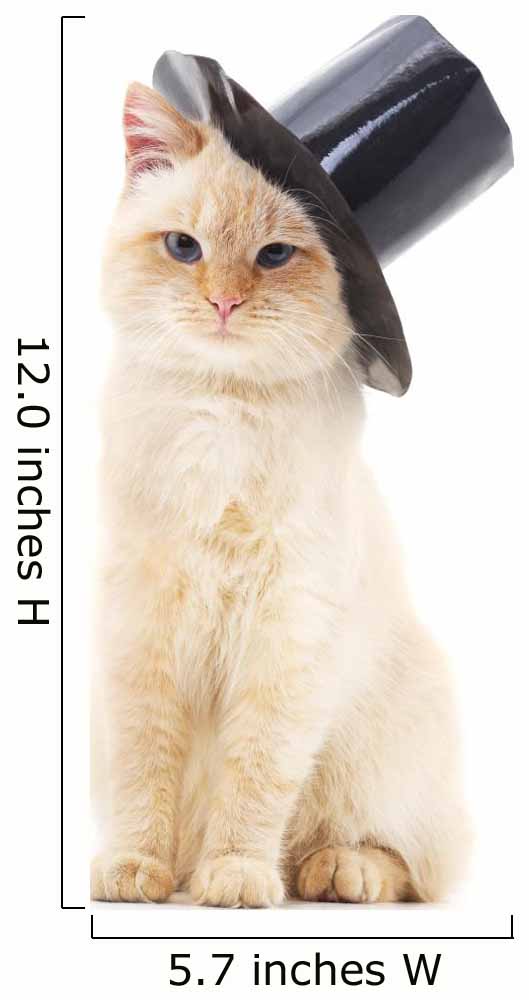 White Cat Black Hat Wall Decal