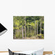 Konica Minolta Digital Camera Wall Decal Design 5