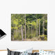 Konica Minolta Digital Camera Wall Decal Design 5