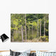 Konica Minolta Digital Camera Wall Decal Design 5