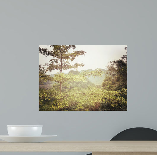 Looking through Misty Foliage Wall Decal