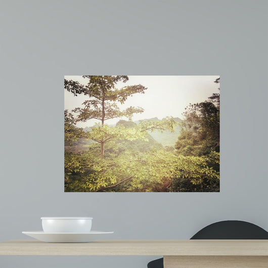 Looking through Misty Foliage Wall Decal