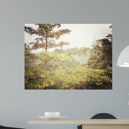 Looking through Misty Foliage Wall Decal