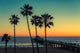 Palm Trees Manhattan Beach Wall Decal