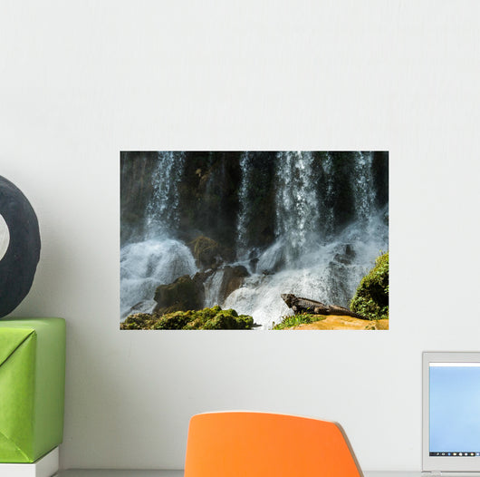 Iguana Cuban Waterfall Wall Decal