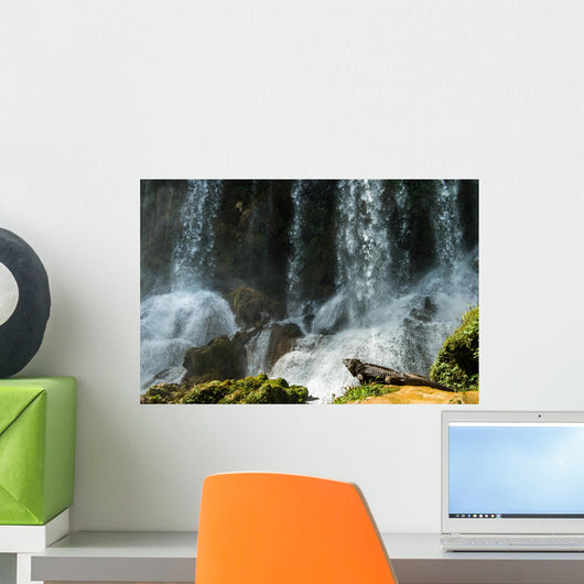 Iguana Cuban Waterfall Wall Decal