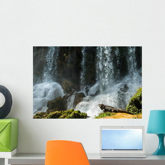 Iguana Cuban Waterfall Wall Decal