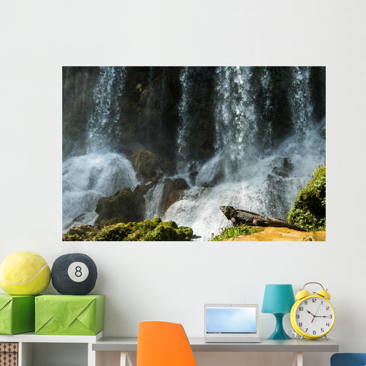 Iguana Cuban Waterfall Wall Decal