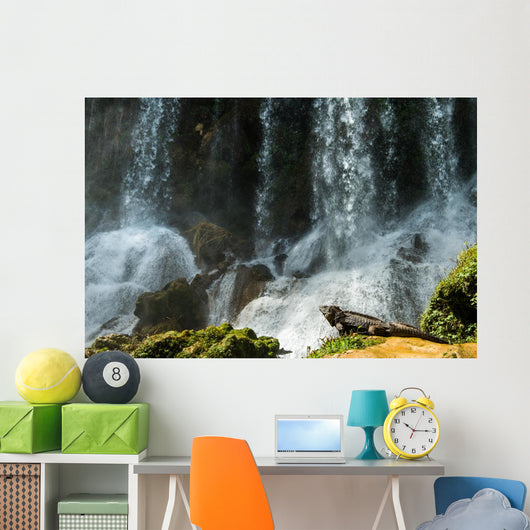 Iguana Cuban Waterfall Wall Decal