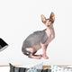 Sphynx Cat Wall Decal