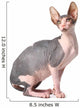 Sphynx Cat Wall Decal