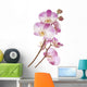 Pink Orchids Wall Decal