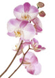 Pink Orchids Wall Decal
