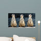 Meerkats Grinning Collage Wall Decal