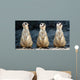 Meerkats Grinning Collage Wall Decal