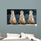 Meerkats Grinning Collage Wall Decal