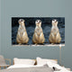 Meerkats Grinning Collage Wall Decal