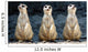 Meerkats Grinning Collage Wall Decal