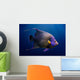 Adult Koran Angelfish Wall Decal