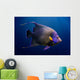Adult Koran Angelfish Wall Decal