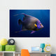 Adult Koran Angelfish Wall Decal