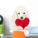 Poodle Puppy Valentine Heart Wall Decal