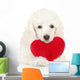 Poodle Puppy Valentine Heart Wall Decal
