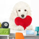 Poodle Puppy Valentine Heart Wall Decal