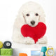 Poodle Puppy Valentine Heart Wall Decal