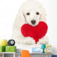 Poodle Puppy Valentine Heart Wall Decal