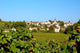 Vineyard Monthelie Wall Decal