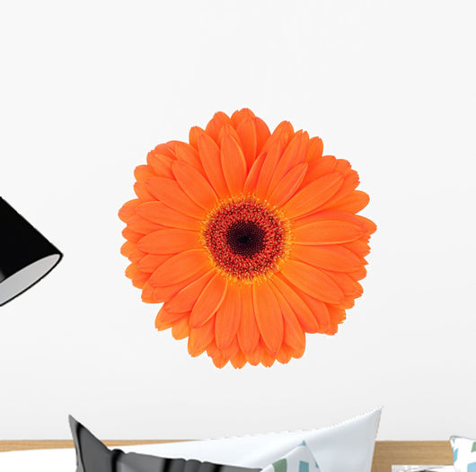 Orange Gerbera Wall Decal