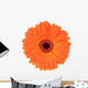 Orange Gerbera Wall Decal
