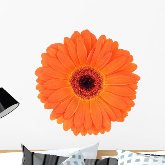 Orange Gerbera Wall Decal