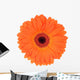 Orange Gerbera Wall Decal