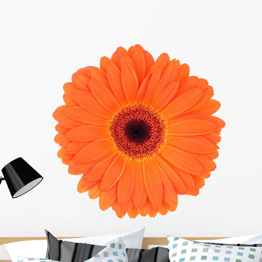 Orange Gerbera Wall Decal
