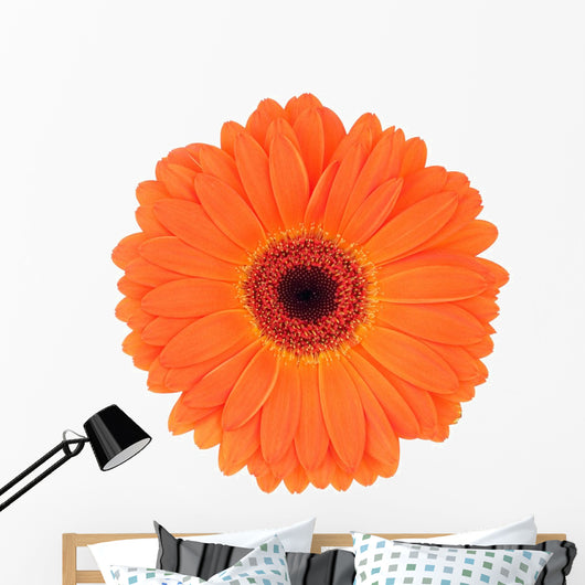 Orange Gerbera Wall Decal