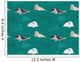 Seal Wallpaper Wall Decal