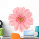 Pink Gerbera Wall Decal